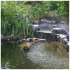 Relax by the Pond