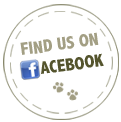 Find Us on Facebook