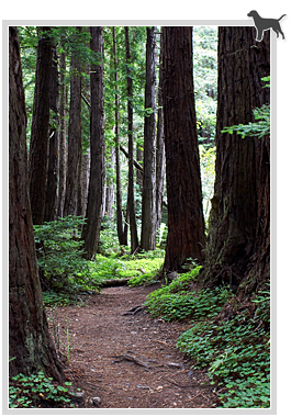 hiking trails, biking trails