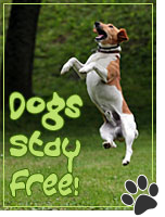Dogs stay free!